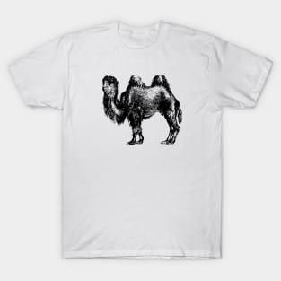 Camel T-Shirt